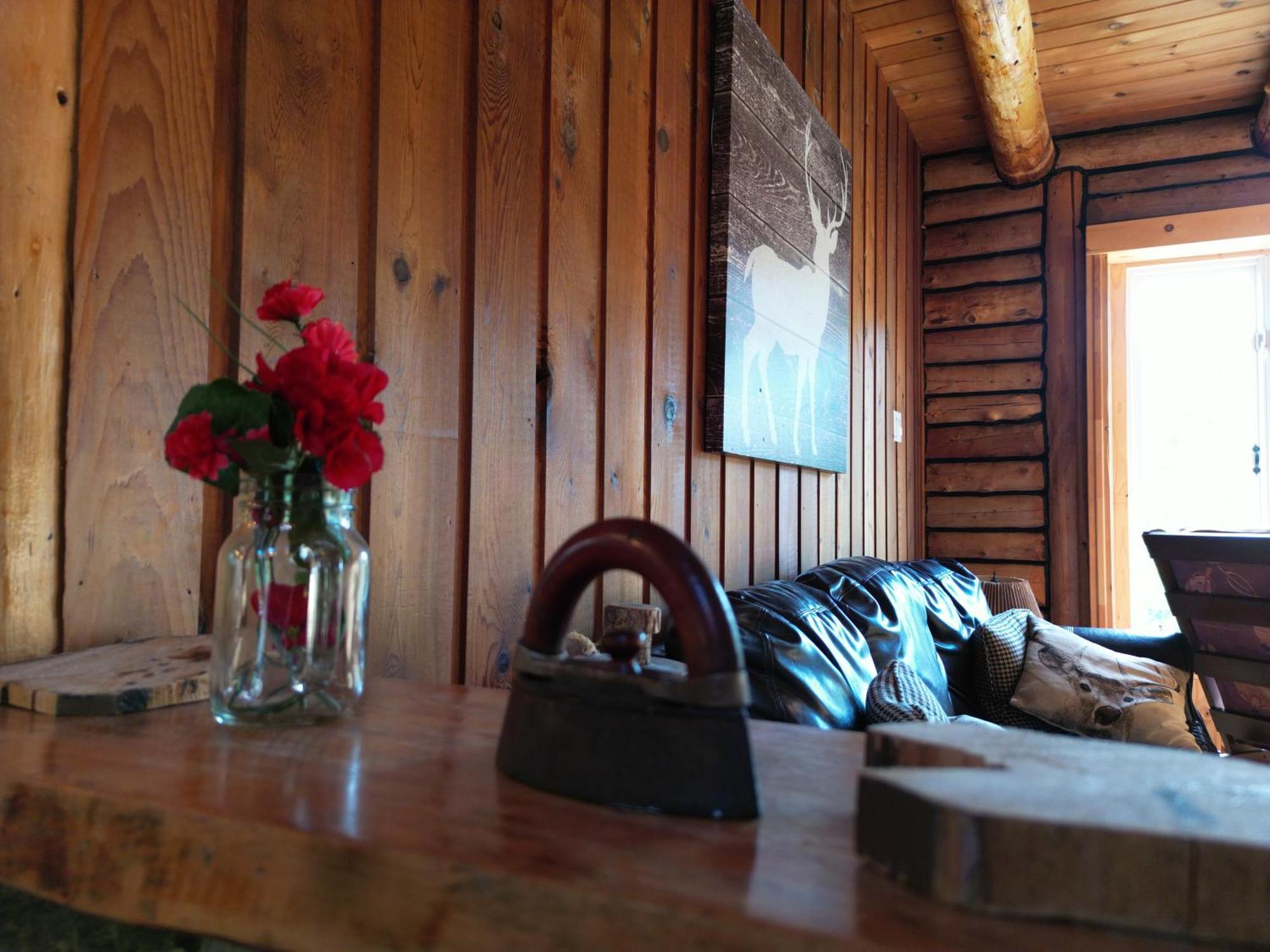 Cozy Log Cottage La Minerve Экстерьер фото